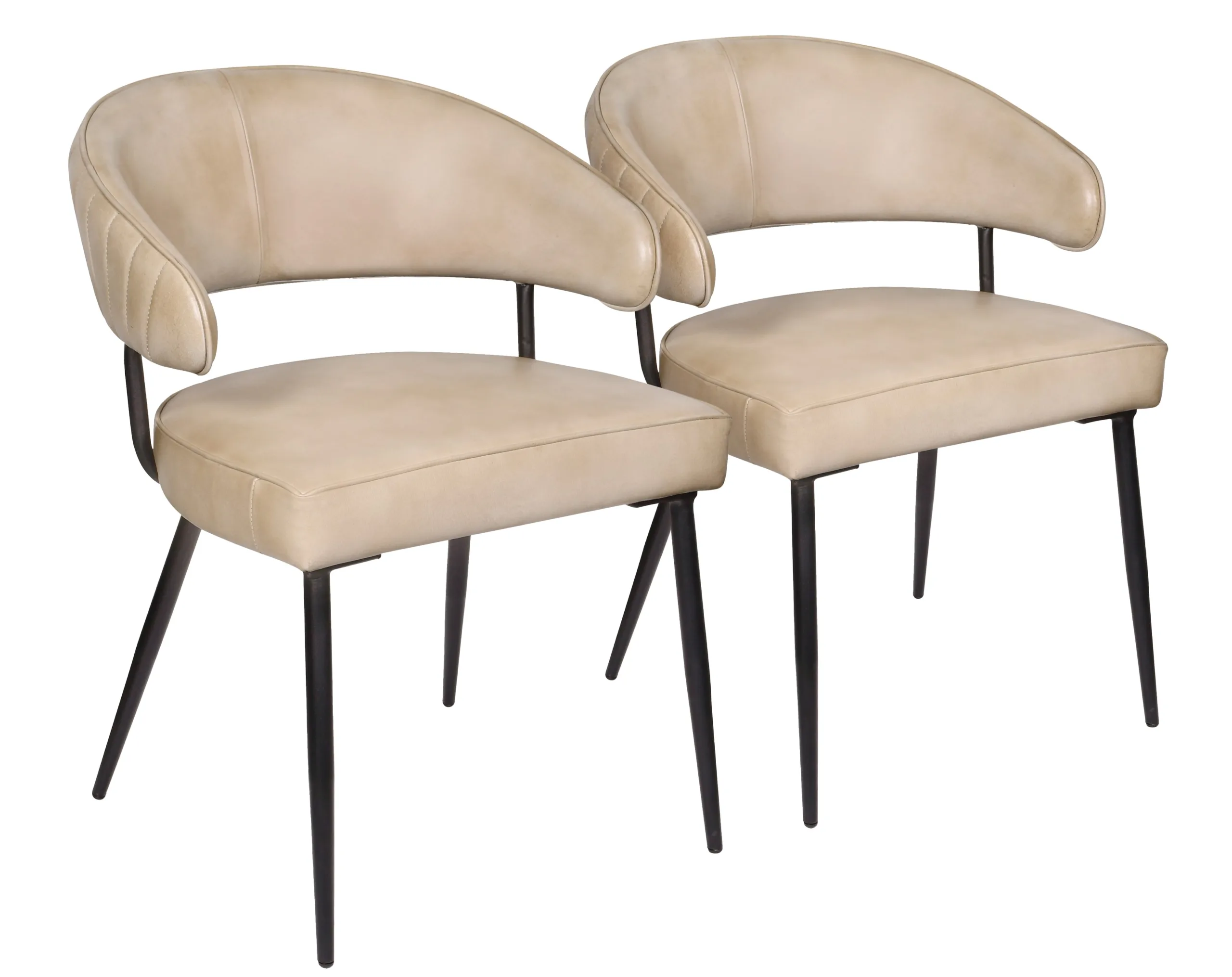 Barbara Leather Dining Chair 2-Piece Set - Stone